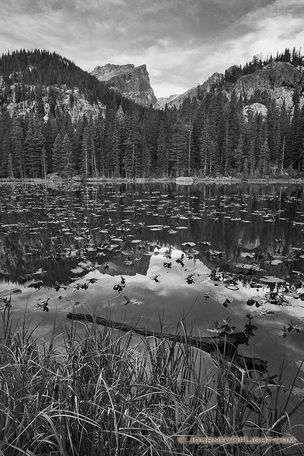 Nymph lake in Rocky Mountain National Park on a calm cool morning. - Colorado Photography