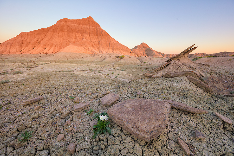 A Nebraska landscape photograph of Toadstool Geologic Park at sunrise. - Nebraska Photography