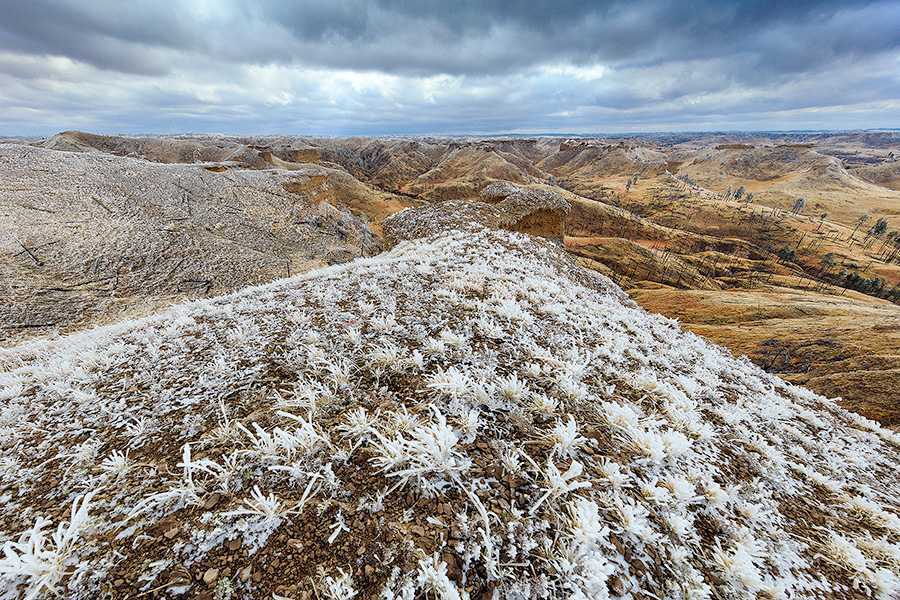 Nature photograph of the Nebraska National Forest in winter. - Nebraska Photography