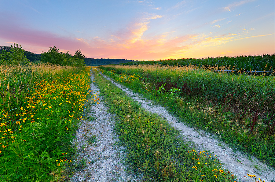 A scenic landscape photograph of a country road near a farm in eastern Nebraska. - Nebraska Photography