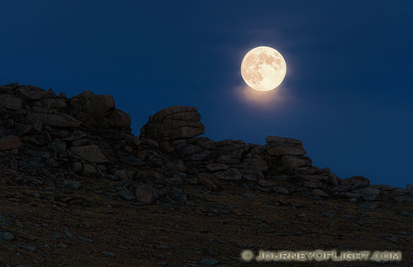 Colorado Nature Photograph - In the Glow of the Night
