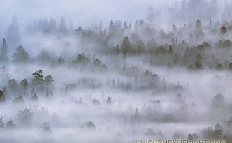Morning fog rolls through Horseshoe Park in Rocky Mountain National Park in Colorado.
