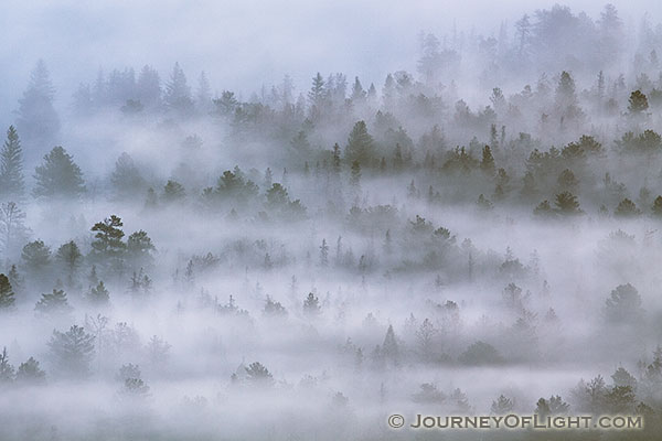 Morning fog rolls through Horseshoe Park in Rocky Mountain National Park in Colorado. 