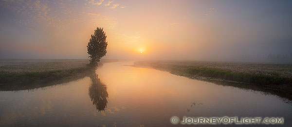The Gibbons River quietly flows through Elk Meadow as the last of the morning fog is burned off from the rising sun.