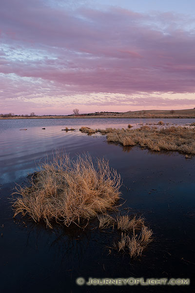 Dusk descends over a pond on the Little Salt Fork Marsh in Lancaster County near Raymond, Nebraska.