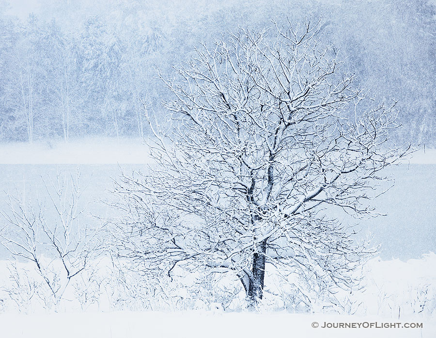 Snow falls on Wehrspann Lake at Chalco Hills Recreation Area on a cold February morning.