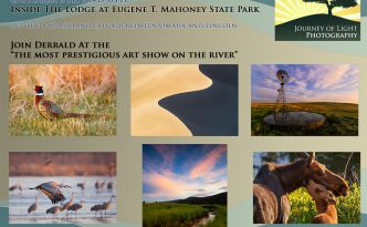 Mahoney Autumn Harvest Art Show