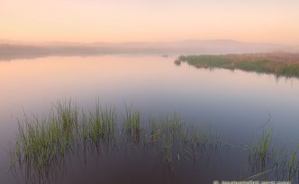 Nebraska Landscape Photograph - Quiet Solace