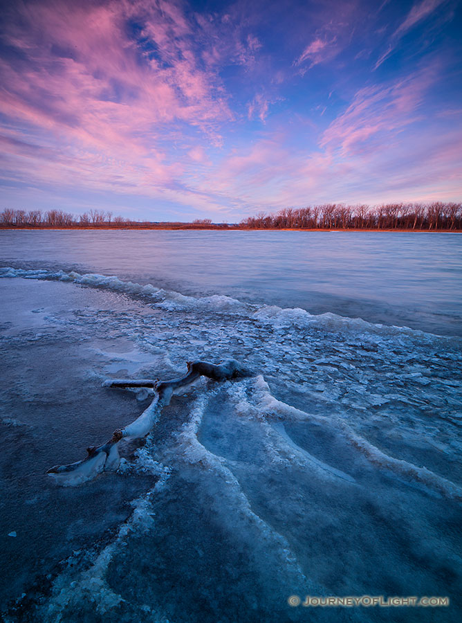 In early winter, sunrise hits the landscape illuminating the forming ice on the lake at DeSoto National Wildlife Refuge.