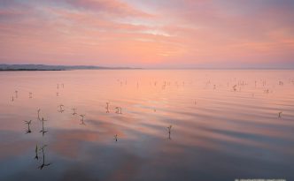 The North Marsh in Valentine National Wildlife Refuge slowly ripples with a gentle breeze from the east as the sun illuminates the distant clouds with a brilliant orange hue.