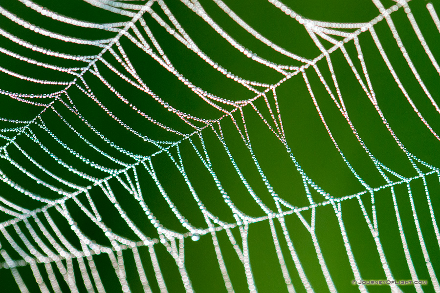 A spiderweb sparkles with dew drops like a string of diamonds early on a July morning in Theodore Roosevelt National Park. - See more at: http://www.journeyoflight.com/photo/diamonds-from-dew/north,dakota