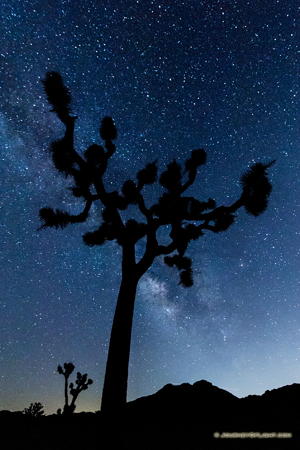 Celestial Witness