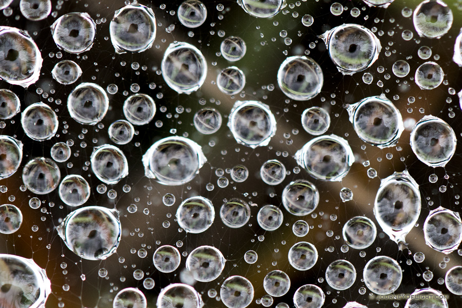 Droplets