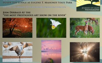 Autumn Harvest Art Show - Mahoney State Park