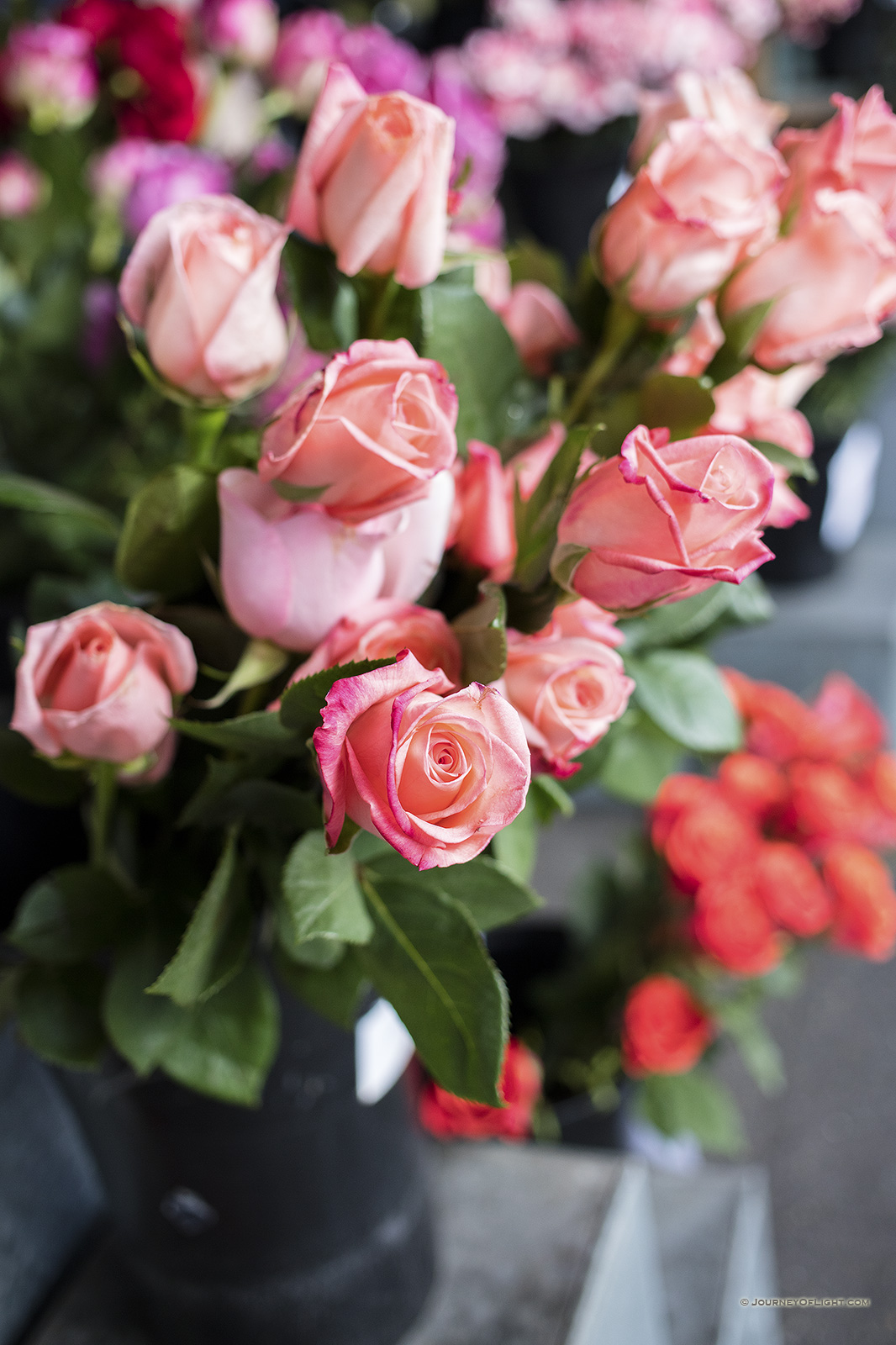 Flowers at the Market