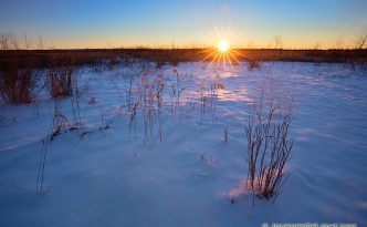 The sun rises on a new year over the Prairie at Boyer Chute National Wildlife Refuge in eastern Nebraska.