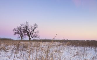 On a cold, winter day, dusk falls upon the prairie at Boyer Chute National Wildlife Refuge in eastern Nebraska.