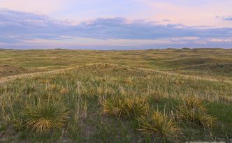 Somewhere in the Sandhills