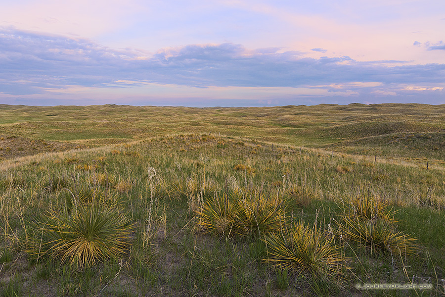 Somewhere in the Sandhills