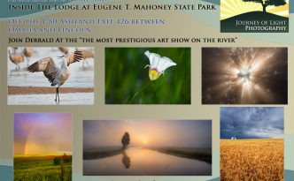 Platte River Art Show