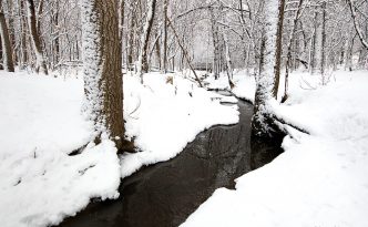 After a day of snowfall in eastern Nebraska, the OPPD Arboretum transforms into a bright winterscape.