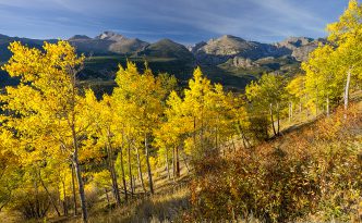 In the early morning, Longs Peak is visible above the autumn trees on the trail to Beirstadt Lake. - Rocky Mountain NP Photography