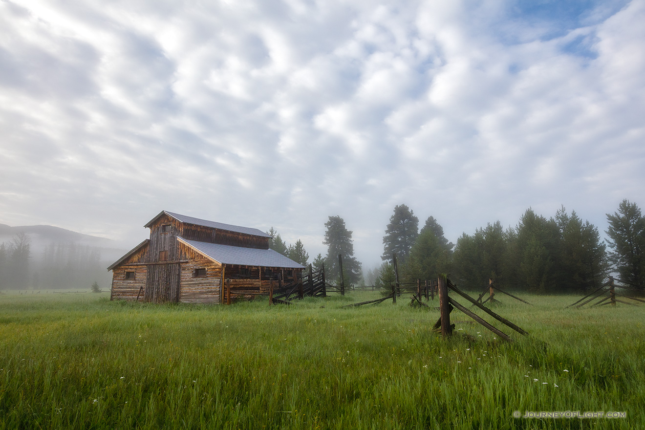 Foggy Morning in the Kawuneeche Valley