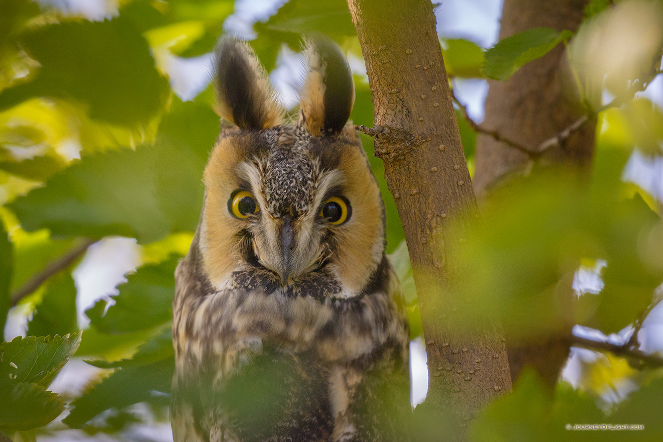 Hiding From You