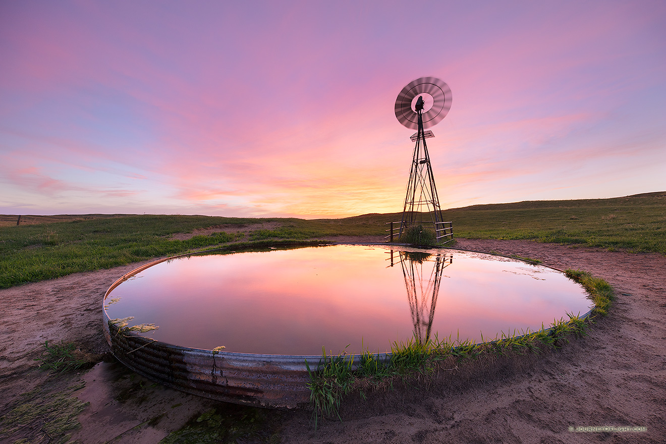 The western sky glows with beautiful pinks, purples, and oranges behind a windmill reflected in the full tank.