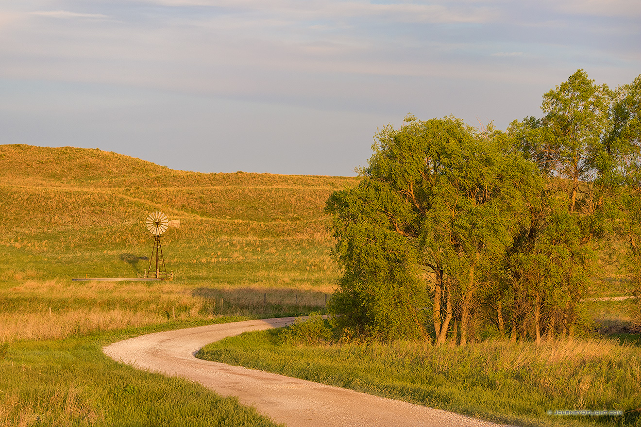 Sunrise warms this rural scene in the Sandhills of Nebraska. A gravel road meanders by a small stand of cottonwoods and a windmill.