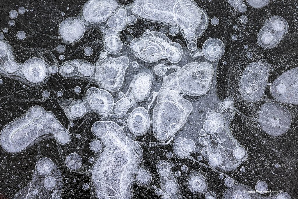 Icy Designs and Abstract