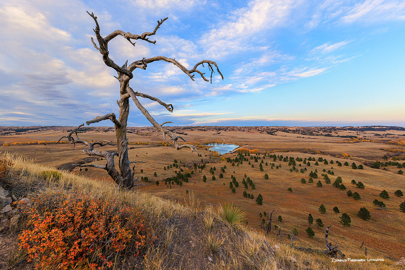 An old tree grips the side of the bluff, a witness to all that has happened through the years at Fort Robinson State Park, Nebraska.