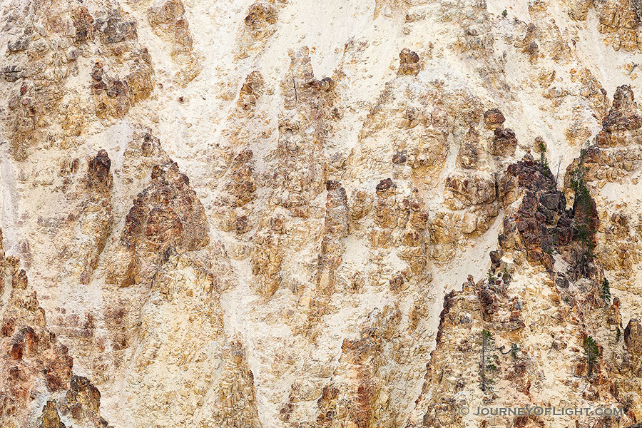 The canyon wall near the Lower Falls in the Grand Canyon of the Yellowstone rises almost 1,000 feet from the Yellowstone River. - Yellowstone National Park Photography