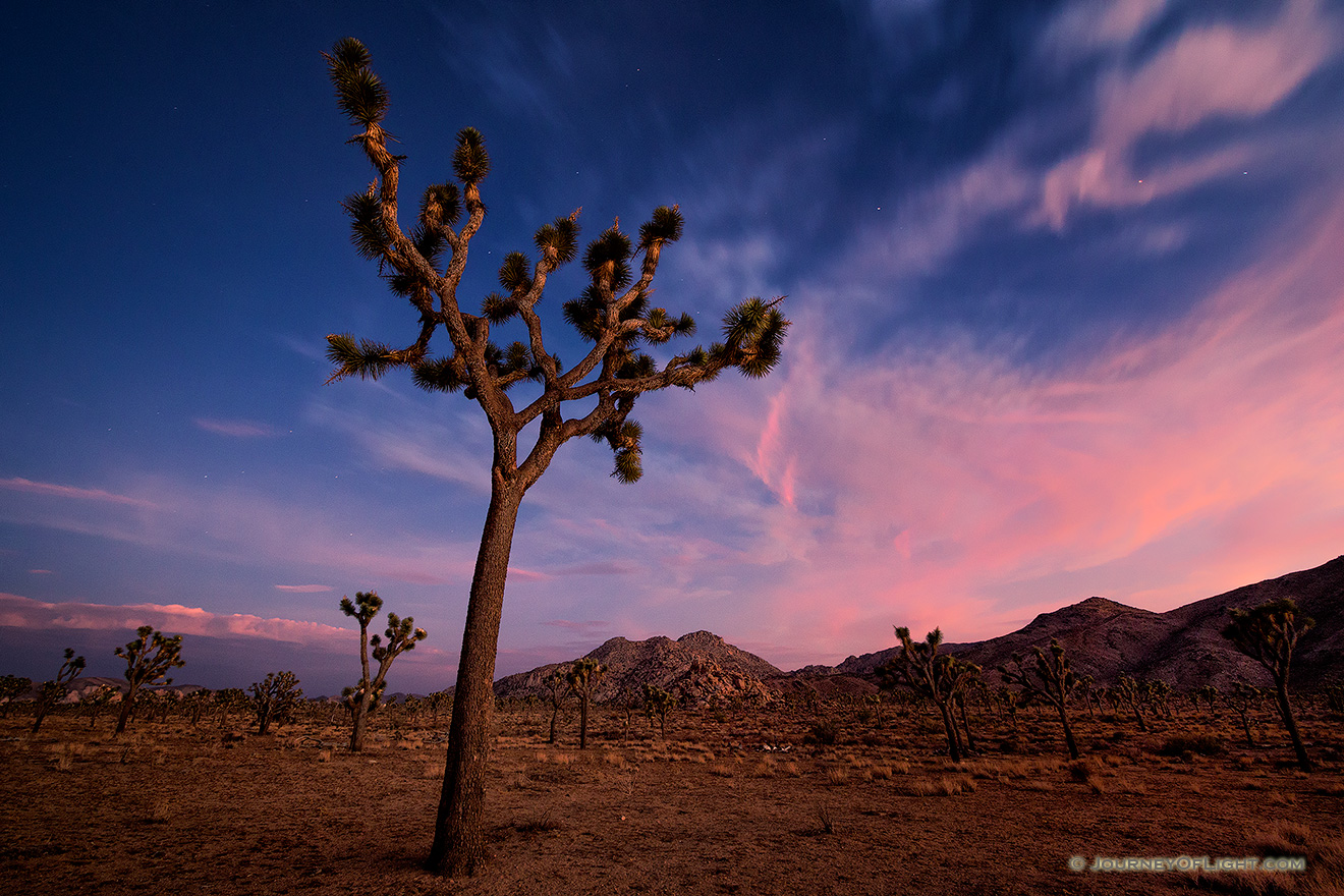 All around me was complete silence.  In this complete quiet the night slowly crept across the landscape and stars begin to appear as the clouds clear above Joshua Tree in Joshua Tree National Park, California. - State of California Photography