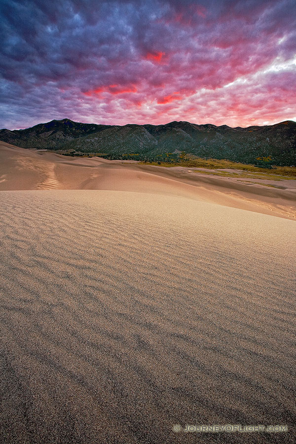 Early morning on the Great Sand Dunes after a stormy night brought clouds that reflected intense warm hues from the rising sun.  I had envisaged a photograph like this at the sand dunes for over a year, capturing the the texture of the dunes, the sweeping lines that lead to the Sangre de Cristo mountains, with a brillant sunrise. - Great Sand Dunes NP Photography