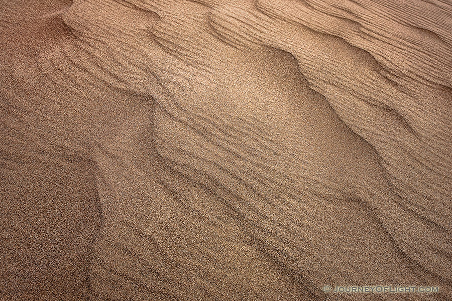 At Great Sand Dunes National Park and Preserve, intricate patterns arise in the sand from the wind blowing one direction and then another. - Great Sand Dunes NP Photography