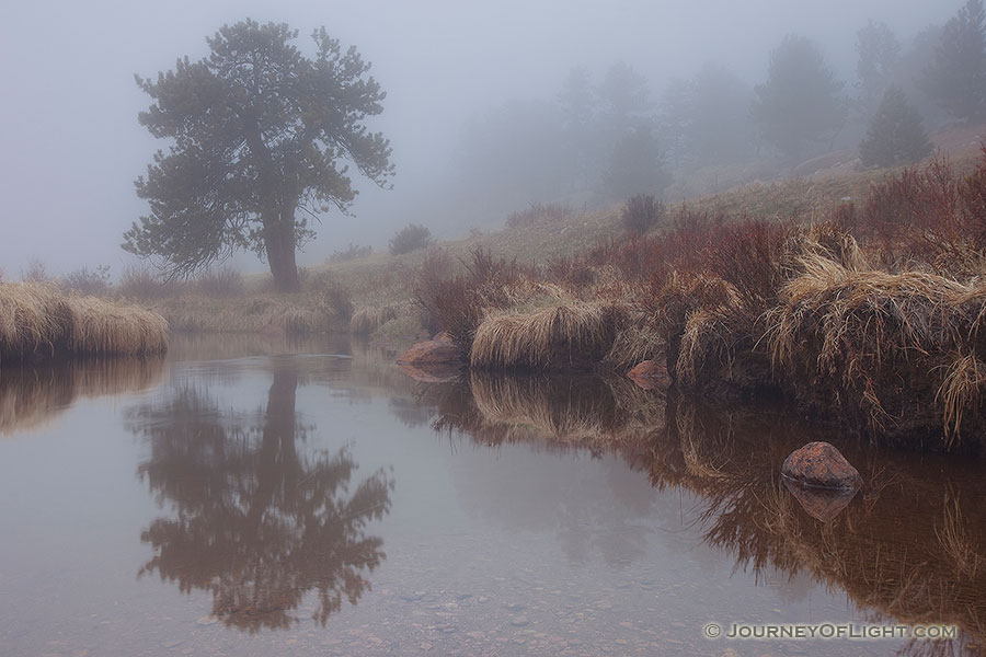 On a cool evening a fog decends upon Horseshoe Park in Rocky Mountain National Park. - Rocky Mountain NP Photography