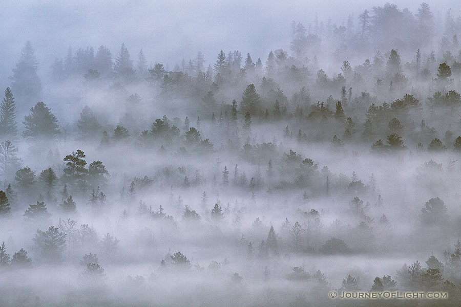Morning fog rolls through Horseshoe Park in Rocky Mountain National Park in Colorado. - Rocky Mountain NP Photography