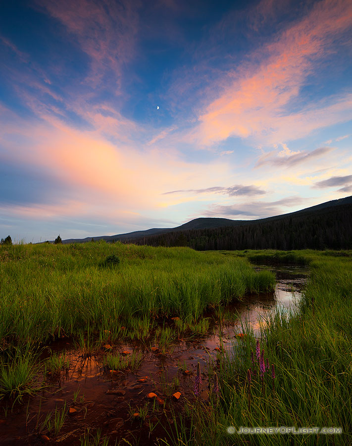 The Kawuneeche Valley is a marshy meadow area on the western side of Rocky Mountain National Park in Colorado. In the native Arapaho language Kawuneeche means “valley of the coyote” and indeed, many animals are found traveling through the valley. On this still July evening, there was a herd of elk that had quietly moved through and were eating on the trail. Not wanting to disturb them too much I kindly asked them to move as I slowly walked by. They obliged and I was on my way, as the last remnants of light illuminated the western edge of the clouds casting a dull glow across the meadow. - Colorado Photography