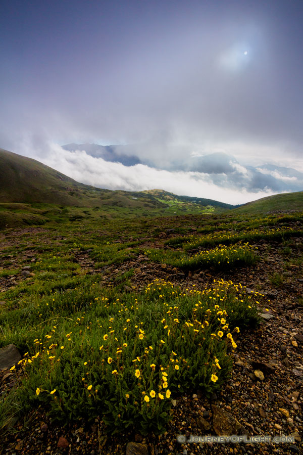 High upon the tundra of Rocky Mountain National Park, the fog briefly recedes revealing a verdant landscape with wildflowers and lakes that dot that landscape. - Colorado,Landscape Photography