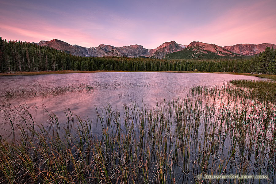 Reeds sway in the wind at Bierstadt lake as clouds gather over the mountains of the continental divide. - Rocky Mountain NP Photography