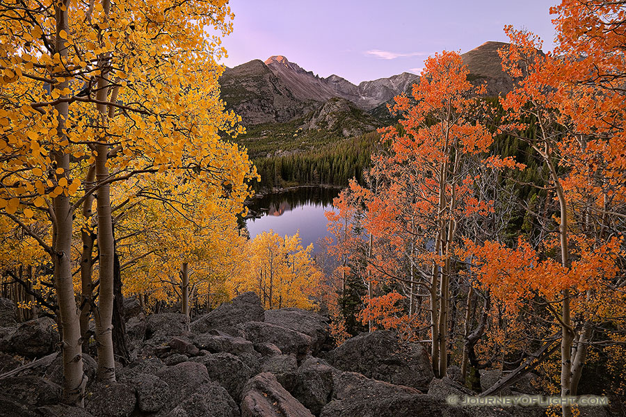 On a warm autumn day, from an aspen grove above Bear Lake, the morning sun graces Long's Peak with a reddish hue. - Rocky Mountain NP Photography