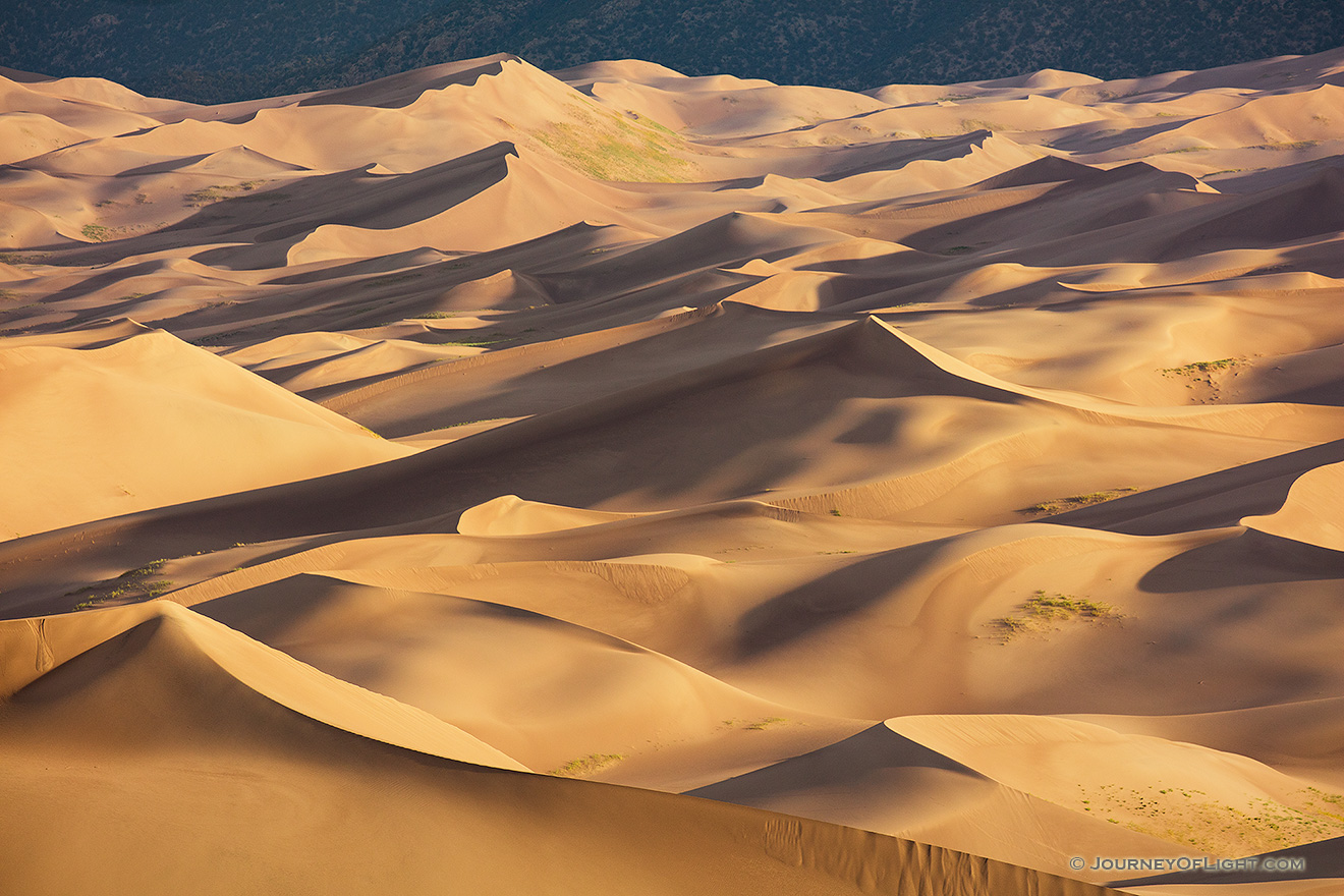 Sand dunes glow in the morning sun at Great Sand Dunes National Park, Colorado. - Great Sand Dunes NP Picture