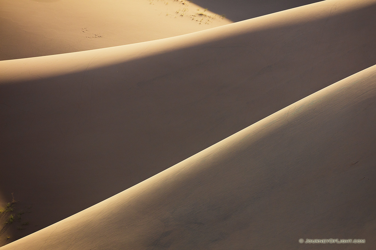 Details of sand dunes in the morning light at Great Sand Dunes National Park, Colorado. - Great Sand Dunes NP Picture