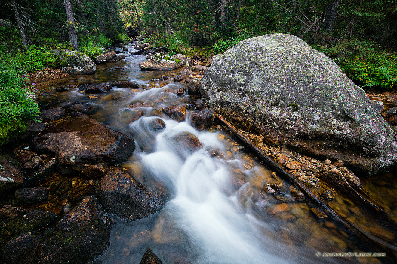 The North Inlet Stream flows west through Rocky Mountain National Park.  Near the stream verdant trees and ferns thrive on the water that runs nearby. - Colorado Picture
