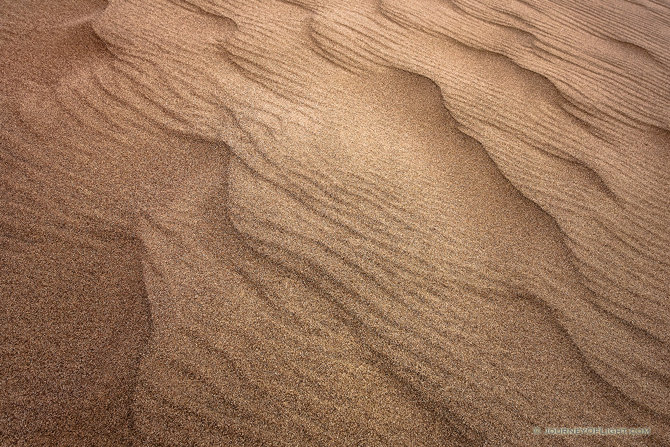 At Great Sand Dunes National Park and Preserve, intricate patterns arise in the sand from the wind blowing one direction and then another. - Great Sand Dunes NP Picture
