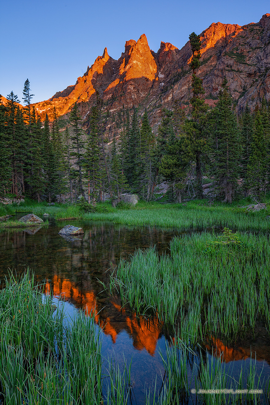 I've hiked several times to beautiful Emerald Lake in Rocky Mountain National Park.  On this excursion, I decided to go off the beaten path a bit and follow the stream that flows out of the lake.  I was rewarded with a beautiful sunrise on Flattop reflected in this verdant little marshy area. - Rocky Mountain NP Picture