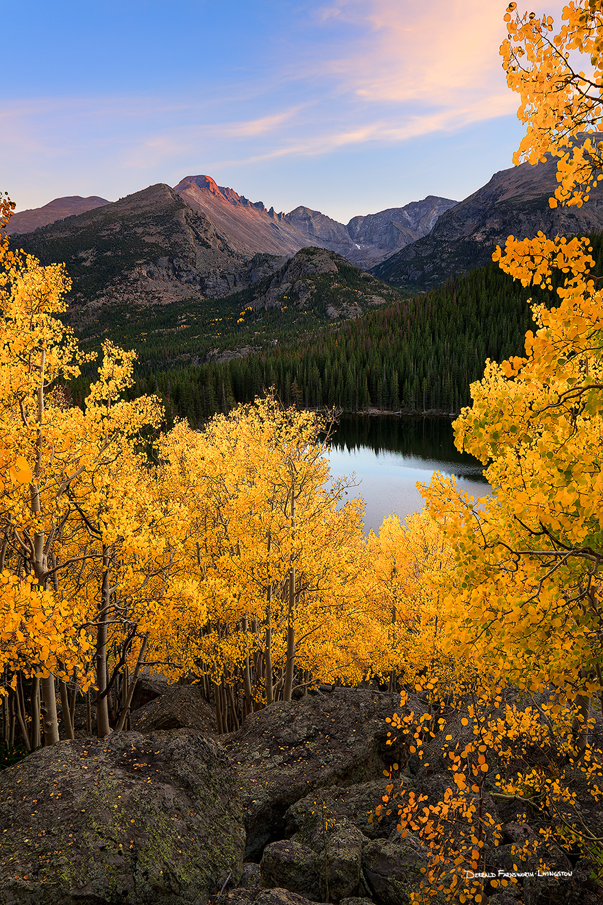Scenic landscape photograph of an aspen grove above Bear Lake in Rocky Mountain National Park, Colorado. - Rocky Mountain NP Picture