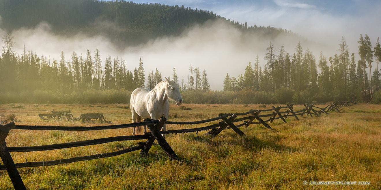 A photograph of a white horse and a fence on a foggy mountain landscape in Colorado. - Colorado Picture