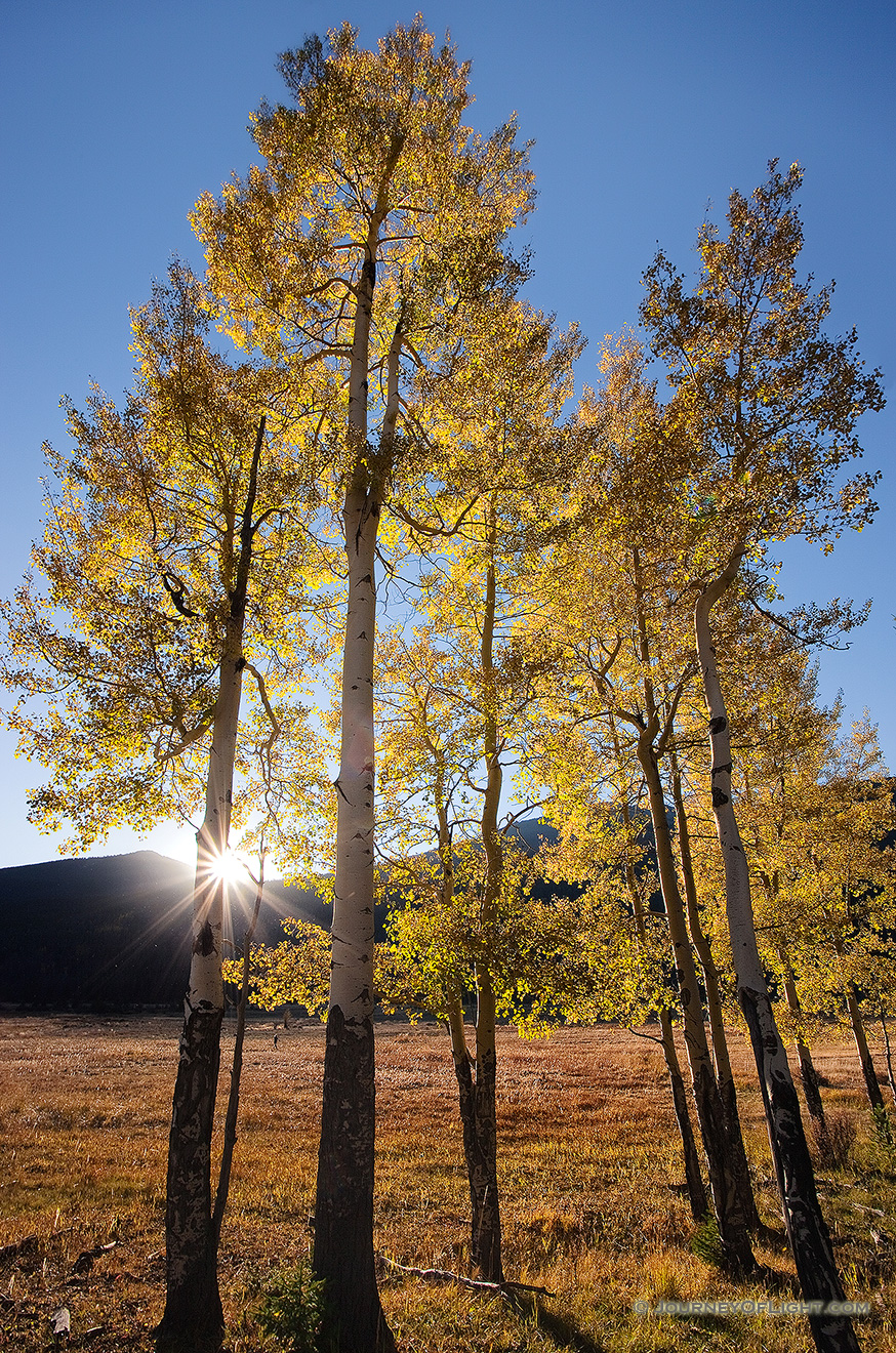 The setting sun shines through aspens over the Never Summer Range in the western part of Rocky Mountain National Park. - Rocky Mountain NP Picture
